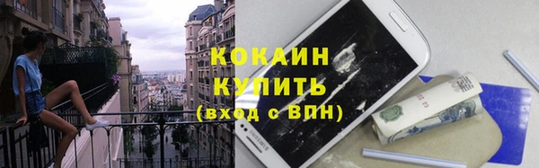 дживик Надым
