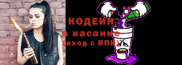 дживик Надым