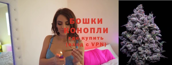 дживик Надым