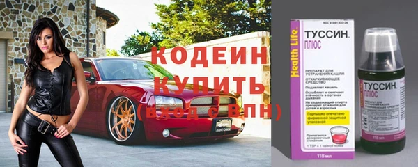 дживик Надым