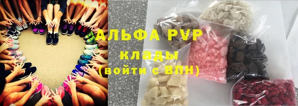 дживик Надым