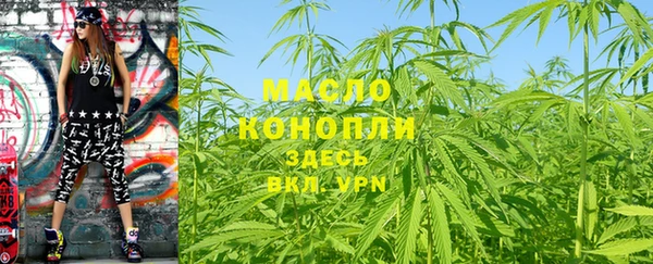 дживик Надым