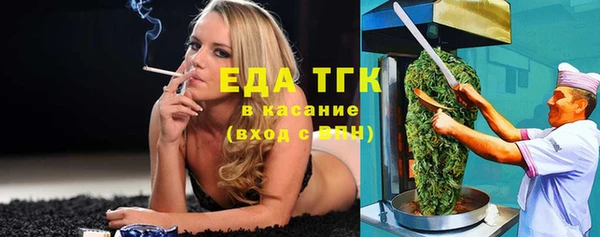 дживик Надым